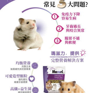 【鼠木曦】美國 Mazuri 瑪滋力 倉鼠與沙鼠主食飼料 567g (5M7V) 倉鼠飼料 黃金鼠 沙鼠 益生菌除臭