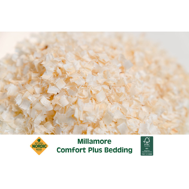 【鼠木曦】美國 MOMI 摩米 MILLEMORE 美麗多天然白楊木刨花 25L (大刨花/小刨花) 倉鼠厚鋪 挖掘造景 超低粉塵 白楊木屑